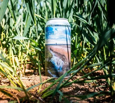 Burnt Mill Fields of Strata Fog IPA