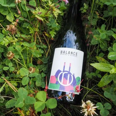 Balance Clingstone 2023 Wild Ale