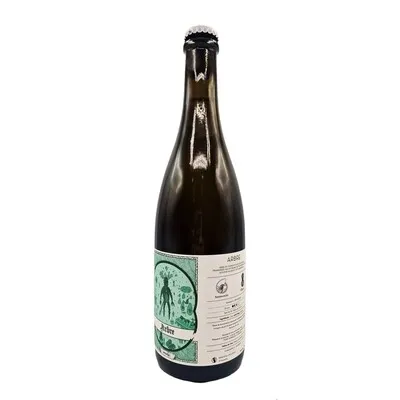Ammonite x Ellipse Arbre BA Sour