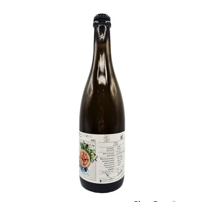 Ammonite Vinifera IX Aligote BA Fruit Beer