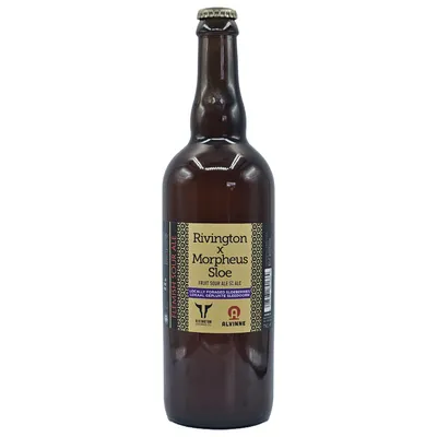 Alvinne x Rivington x Morpheus Sloe Fruit Sour