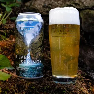 Burnt Mill Silver Springs WC Pale Ale